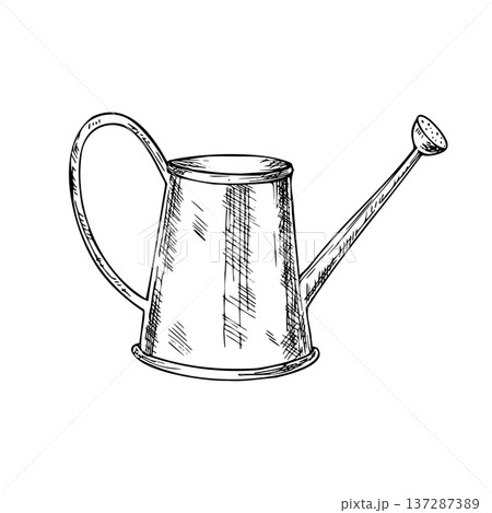 Vector garden watering can. Graphic hand drawn pitcher illustration isolated on background. Botanical and clip art. For greeting card, wallpaper, wrapping paper design, textile, scrapbooking 137287389