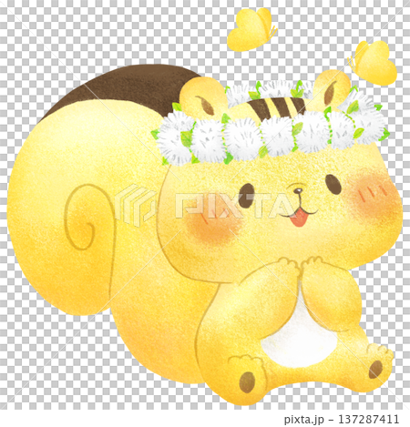 シロツメクサの花冠をつけたリス 137287411