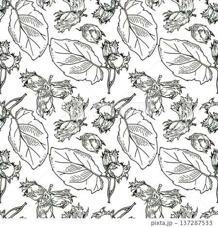 Hazelnut black and white seamless pattern. Square vector illustration with nuts and leaves. Hazelnut black and white seamless pattern. Square vector illustration with nuts and leaves. 137287533