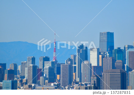 都市風景　東京　港区ビル群　東京タワー　 137287831