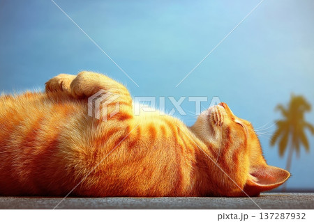 Cute Fat Cat Relaxing on a Summer Tropical Beach Under a Clear Blue Sky 137287932