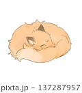 狐 137287957