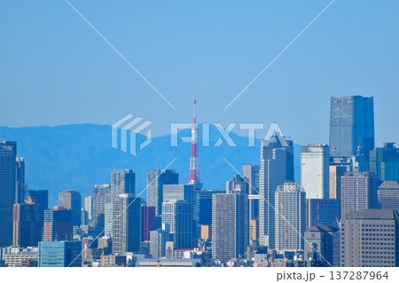 都市風景　東京　港区ビル群　東京タワー　 137287964