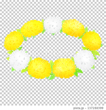 蒲公英和白三葉草花冠 137288399