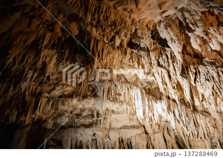 鍾乳石 石筍 洞窟 137288469