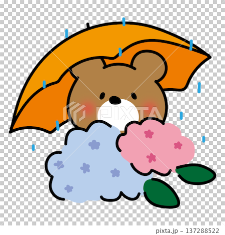 下雨天，庫馬波特撐著傘欣賞繡球花。 137288522