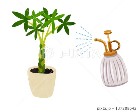 霧吹きミストとパキラの鉢植え　水彩風手描きイラスト 137288642