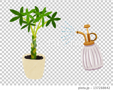 霧吹きミストとパキラの鉢植え　水彩風手描きイラスト 137288642