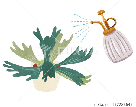 霧吹きミストとビカクシダの鉢植え　水彩風手描きイラスト 137288643