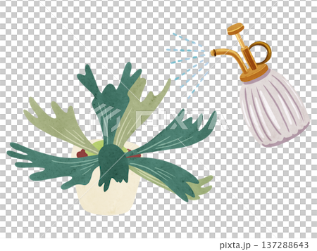 霧吹きミストとビカクシダの鉢植え　水彩風手描きイラスト 137288643