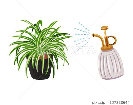 霧吹きミストとオリヅルランの鉢植え　水彩風手描きイラスト 137288644