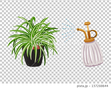 霧吹きミストとオリヅルランの鉢植え　水彩風手描きイラスト 137288644