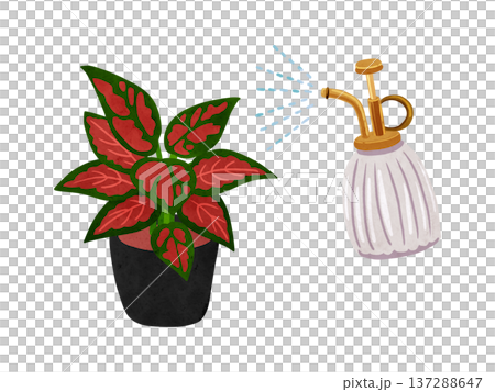 水彩手繪插圖，描繪了一盆美麗的銀皇后，並伴隨噴霧。 137288647