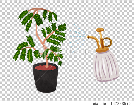 噴霧器與常綠盆栽植物－水彩手繪插圖 137288650