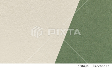 Light beige texture background with olive green diagonal angled split and copy space for template, banner, presentation Light beige texture background with olive green diagonal angled split and copy space for template, banner, presentation 137288677