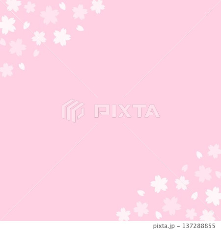 正方形の背景　角に桜の花　ピンク 137288855