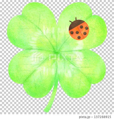  Four leaf clover and ladybird 137288915