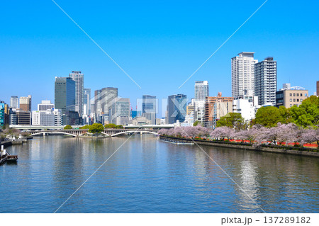 春　大阪　大川　南天満公園 137289182