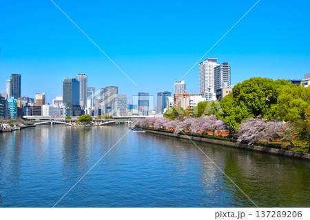 春 大阪 大川 南天満公園 春 大阪 大川 南天満公園 137289206