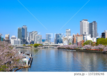 春　大阪　大川　南天満公園 137289246