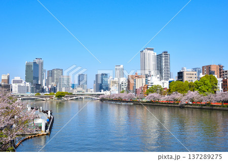 春 大阪 大川 南天満公園 春 大阪 大川 南天満公園 137289275