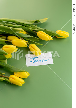 vibrant yellow tulip flowers with green leaves arrangement 137289501