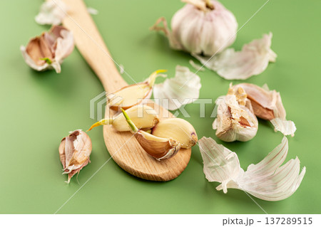 A wooden spoon with cloves of fresh garlic A wooden spoon with cloves of fresh garlic 137289515