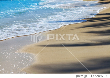 Sunlight glints off turquoise waves lapping the shore 137289707