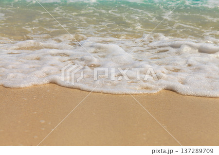 Soft waves kiss golden sand with gentle foam 137289709