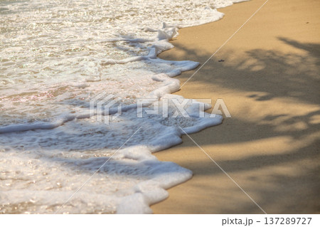 Soft waves kiss golden sand with gentle foam Soft waves kiss golden sand with gentle foam 137289727