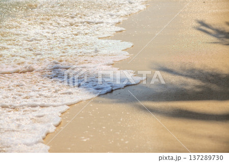 Soft waves kiss golden sand with gentle foam 137289730