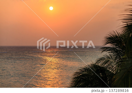 Golden sun sets over calm ocean waters Golden sun sets over calm ocean waters 137289816