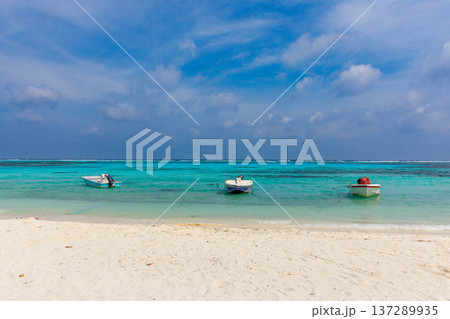 Turquoise waters meet white sand under a bright sky Turquoise waters meet white sand under a bright sky 137289935