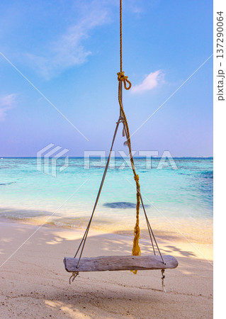 Wooden swing hangs by thick rope above sandy shore Wooden swing hangs by thick rope above sandy shore 137290064