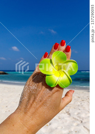 Hand holds bright green flower against blue sky Hand holds bright green flower against blue sky 137290093