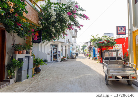 Sunlit street lined with vibrant flowers 137290140