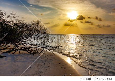 Sunset glows over calm sea, casting golden light on waves Sunset glows over calm sea, casting golden light on waves 137290338