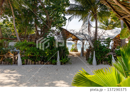 Tropical beach path winds through palm trees Tropical beach path winds through palm trees 137290375
