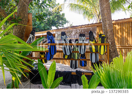 Tropical bamboo fence frames vibrant scuba gear display Tropical bamboo fence frames vibrant scuba gear display 137290385