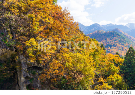 秋の山形県山形市 紅葉の立石寺(山寺) 秋の山形県山形市 紅葉の立石寺(山寺) 137290512