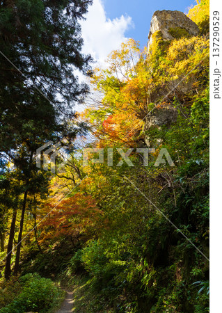 秋の山形県山形市 紅葉の立石寺(山寺) 秋の山形県山形市 紅葉の立石寺(山寺) 137290529