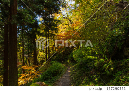 秋の山形県山形市　紅葉の立石寺（山寺） 137290531