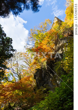 秋の山形県山形市 紅葉の立石寺(山寺) 秋の山形県山形市 紅葉の立石寺(山寺) 137290533