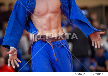 Close-up muscular judo athlete torso Close-up muscular judo athlete torso 137290549