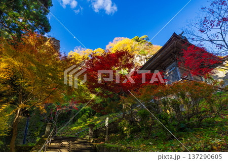 秋の山形県山形市 紅葉の立石寺(山寺) 仁王門 秋の山形県山形市 紅葉の立石寺(山寺) 仁王門 137290605