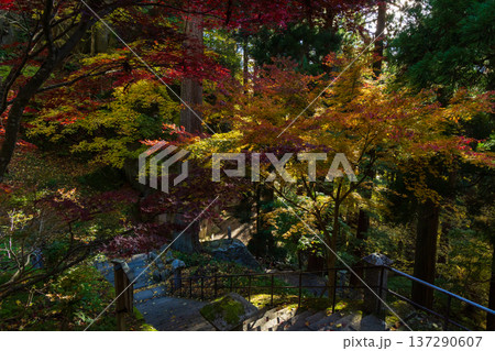 秋の山形県山形市　紅葉の立石寺（山寺）　参道 137290607
