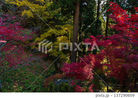 秋の山形県山形市　紅葉の立石寺（山寺） 137290609