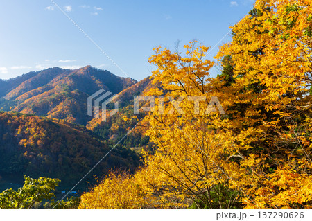 秋の山形県山形市 紅葉の立石寺(山寺) 五大堂からの眺望 秋の山形県山形市 紅葉の立石寺(山寺) 五大堂からの眺望 137290626