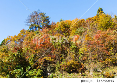 秋の山形県山形市 紅葉の立石寺(山寺) 秋の山形県山形市 紅葉の立石寺(山寺) 137290643