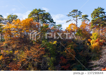 秋の山形県山形市 紅葉の立石寺(山寺) 秋の山形県山形市 紅葉の立石寺(山寺) 137290644